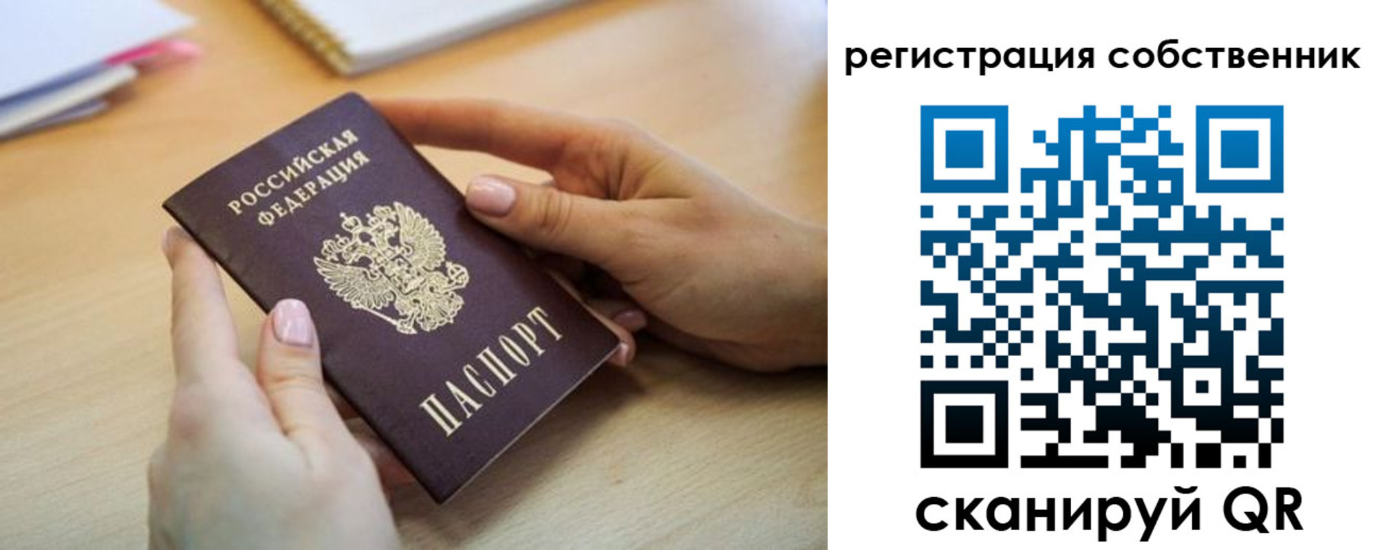 регистрация для школы в Фрязино